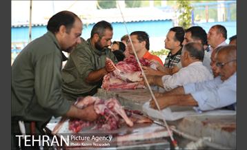 عرضه دام زنده در منطقه 19 شهرداری تهران 2