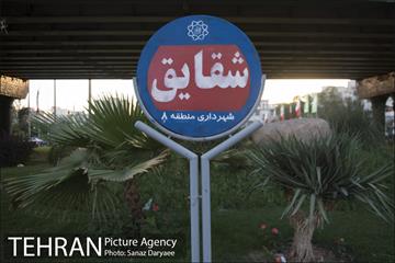 میدان شقایق‎ 23