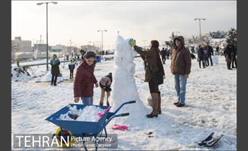 جشنواره مجسمه های برفی 20