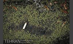 عکس های منتخب آژانس عکس تهران در خرداد ماه 23