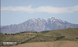 بازدید اصحاب رسانه از کمربند سبز 24