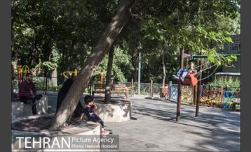 بوستان باغ ایرانی 30