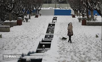 روز برفی تهران - 2 47