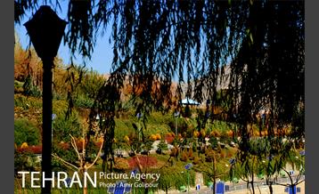 پاییز رنگارنگ بوستان جوانمردان ایران 25
