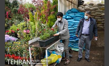 بازار گل و گیاه غرب تهران در آستانه نوروز 15