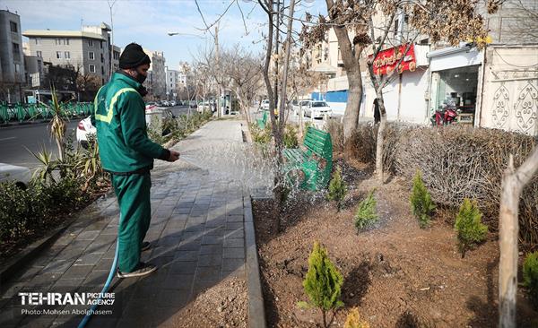 اتمام پروژه باغ راه شهید ثانی
