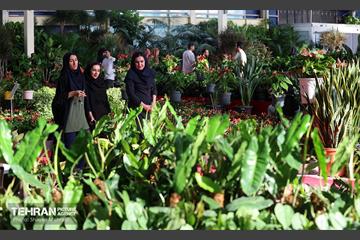 بیستمین نمایشگاه بین‌المللی گل و گیاه 39