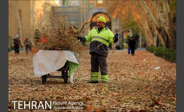 به رنگ پاییز 13