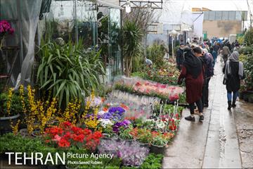 بازار گل و گیاه غرب تهران در آستانه نوروز 14
