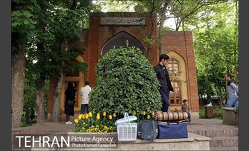 لاله های بهاری بوستان مختاری 1