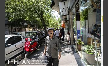 شهرنگار؛ لاله زار 27