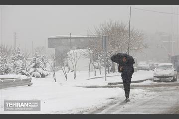 روز برفی پایتخت 15