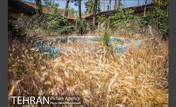 از پادگان 06 تا بوستان بزرگ ارتش 9