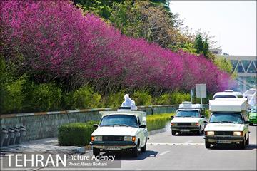 عملیات ضدعفونی سازمان صدا و سیما توسط نیروهای پسماند شهرداری تهران  10