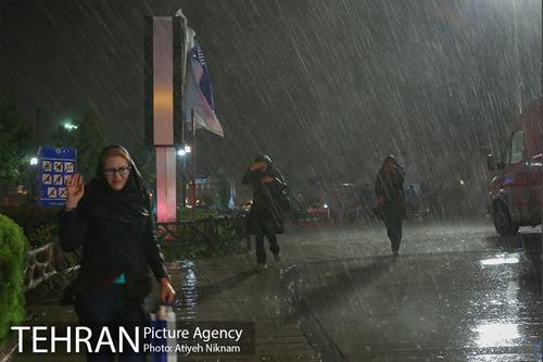 شب بارانی تهران 15