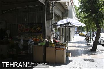 شهرنگار؛ خیابان منوچهری 24