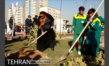 آیین درختکاری در منطقه فرهنگی و گردشگری عباس آباد  20