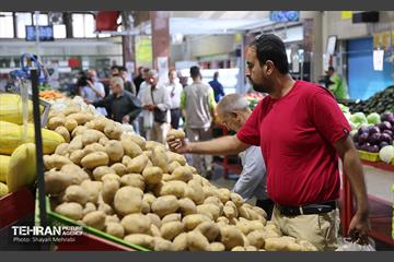 تور رسانه‌ای بازدید از بازارهای میوه و تره‌بار 24