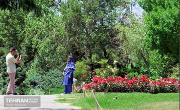 طبیعت بهاری در باغ ملی گیاهشناسی ایران 1