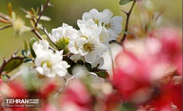 روز طبیعت در منطقه ۵ 48