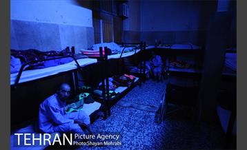 گرمخانه ها 4