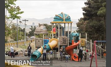 بوستان جنگلی لویزان 24