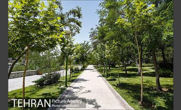 بوستان گلابدره 12