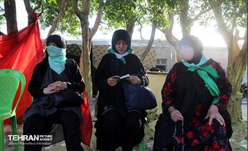 پیاده روی اربعین حسینی؛ طریق العلماء 29