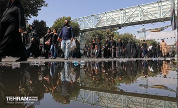 آیین پیاده‌روی جاماندگان اربعین حسینی(ع) /3 45