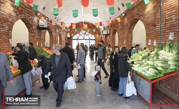افتتاح ۱۰ بازار میوه و تره بار 6