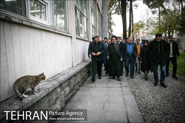 حضور پیروز حناچی در کتابخانه گردی الهام فخاری 2