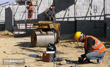 اینجا کارگاهه؛ بازار پرندگان خلیج فارس 8