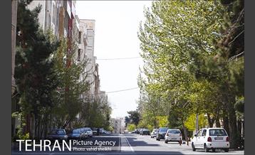 روز طبیعت متفاوت در شهر تهران 2 3