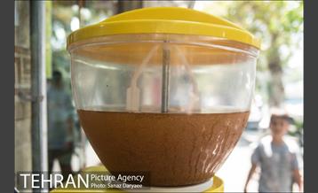 ظهر گرم تابستان 17