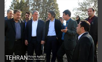 بازدید رئیس شورای شهر تهران از بوستان جنگلی چیتگر 12