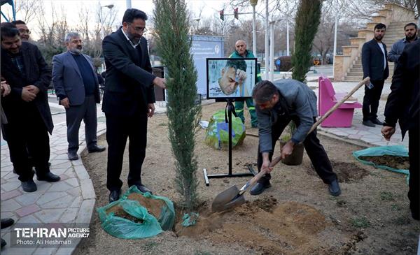 جشن درختکاری در منطقه 18 18