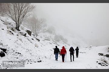 بارش برف زمستانی در تهران 30