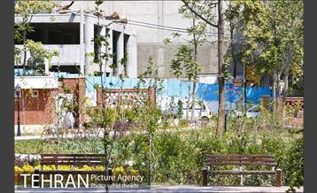 بوستان پدر 20