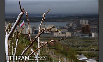 بهار بارانی تهران در روز طبیعت 2