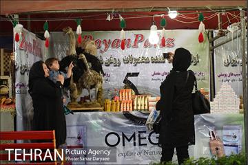 جشنواره اقوام ایرانی‎ 9