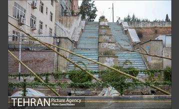 آئین کاشت درخت زندگی 37