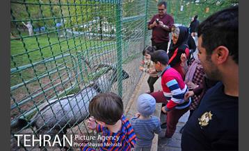 بوستان ملت 31