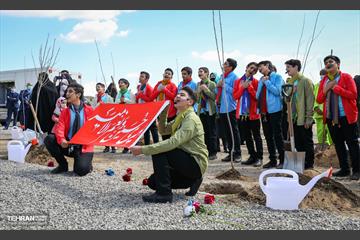 نهال کاری شهردار تهران و رئیس جمهور به مناسبت روز درختکاری 11