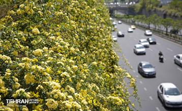 هوای بهاری منطقه 5 4