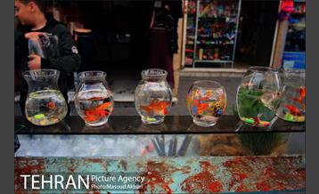 بازار امام زاده حسن در آستانه عید نوروز 2