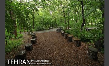 باغ گیاه‌شناسی ملی ایران 24