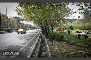 روز طبیعت در پارک ساعی و حاشیه اتوبان مدرس  46