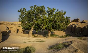 قلعه خمار آباد 7