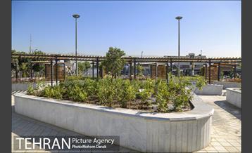 اتمام بازپیرایی میدان محمدیه 16