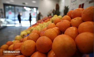 بهره‌برداری از ۲۲ بازار میوه و تره‌بار شهرداری تهران  26